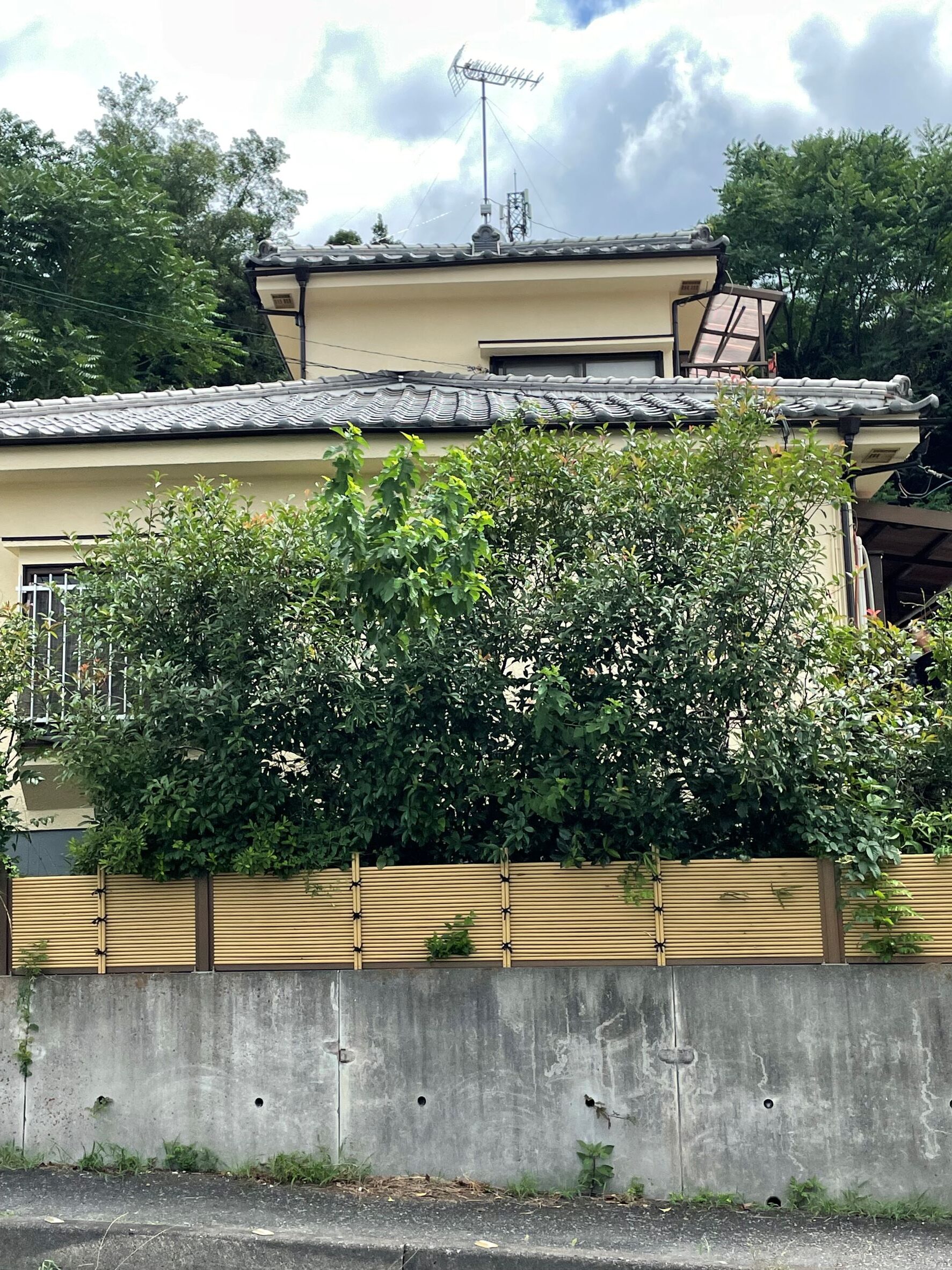 埼玉県ときがわ町　Ｓ様邸　外壁塗装工事施工後