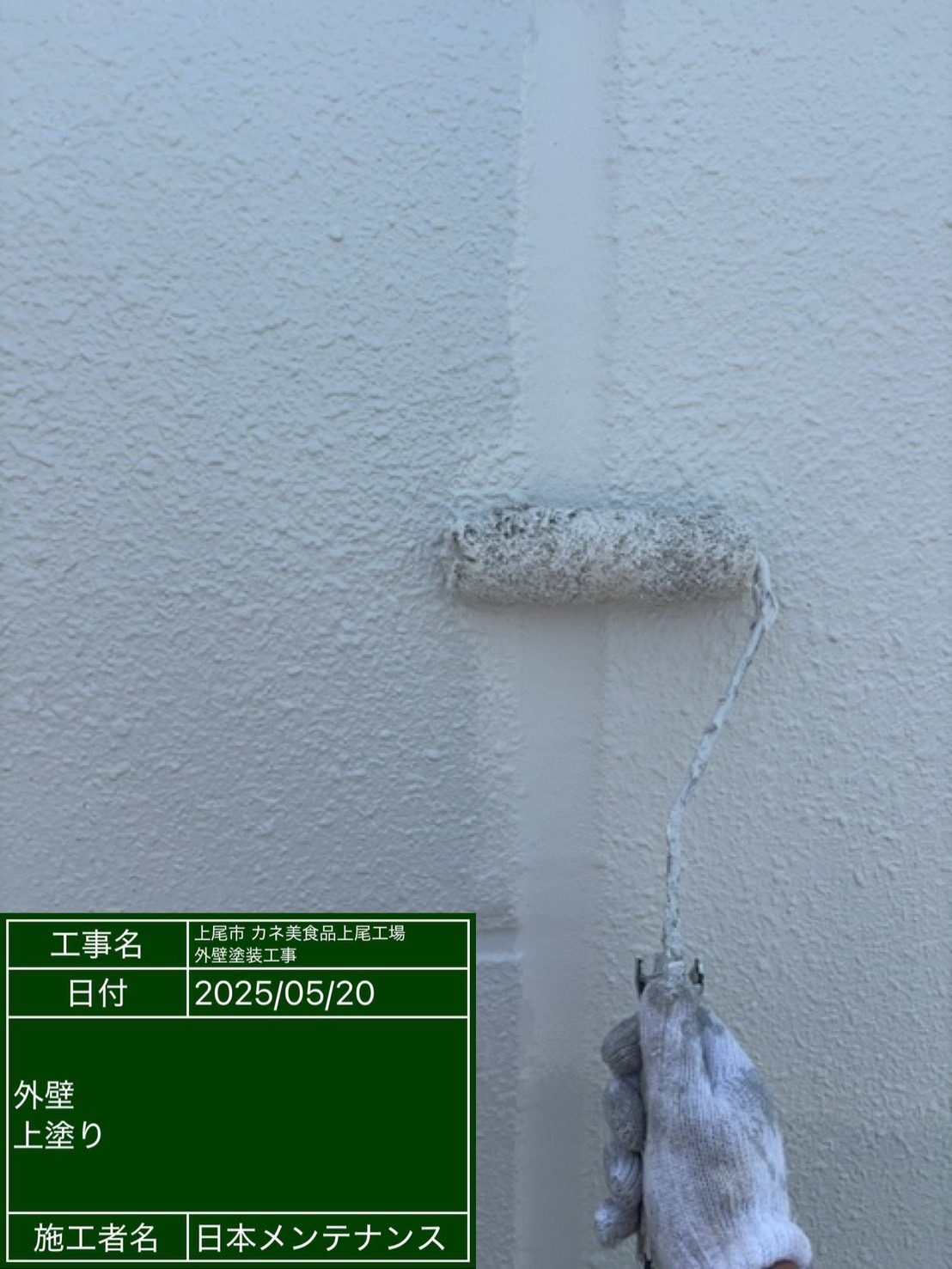外壁上塗り