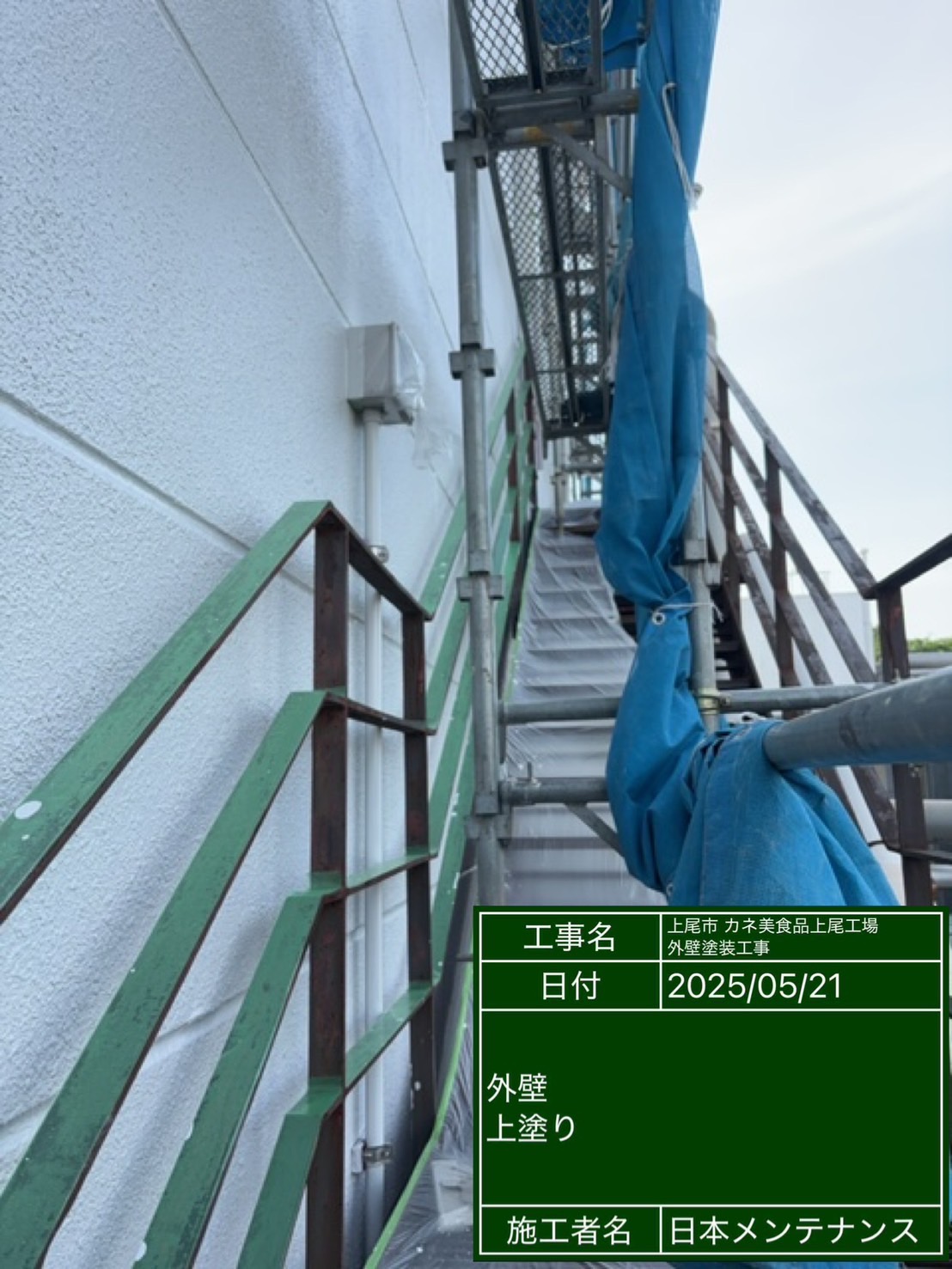 外壁上塗り