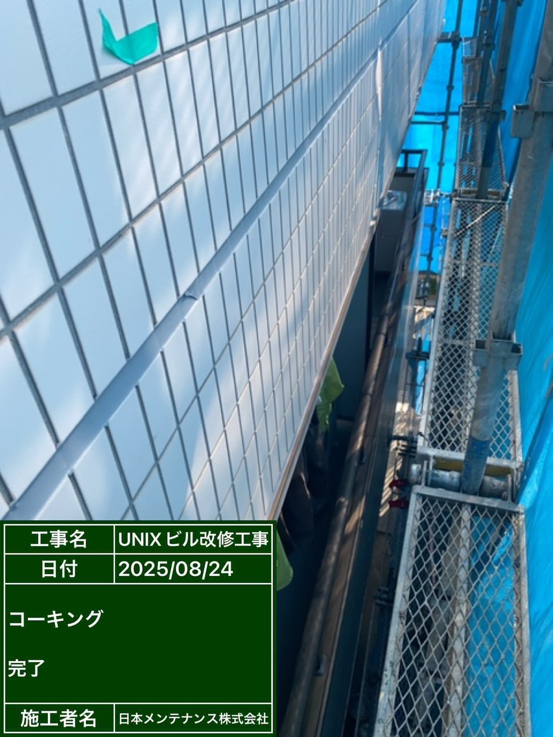コーキング打ち替え