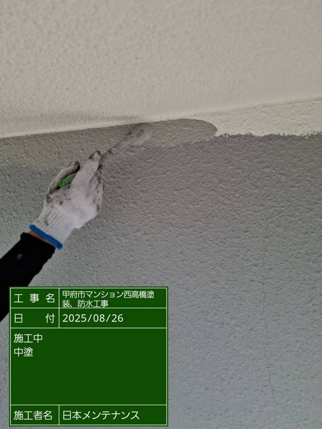 外壁中塗り
