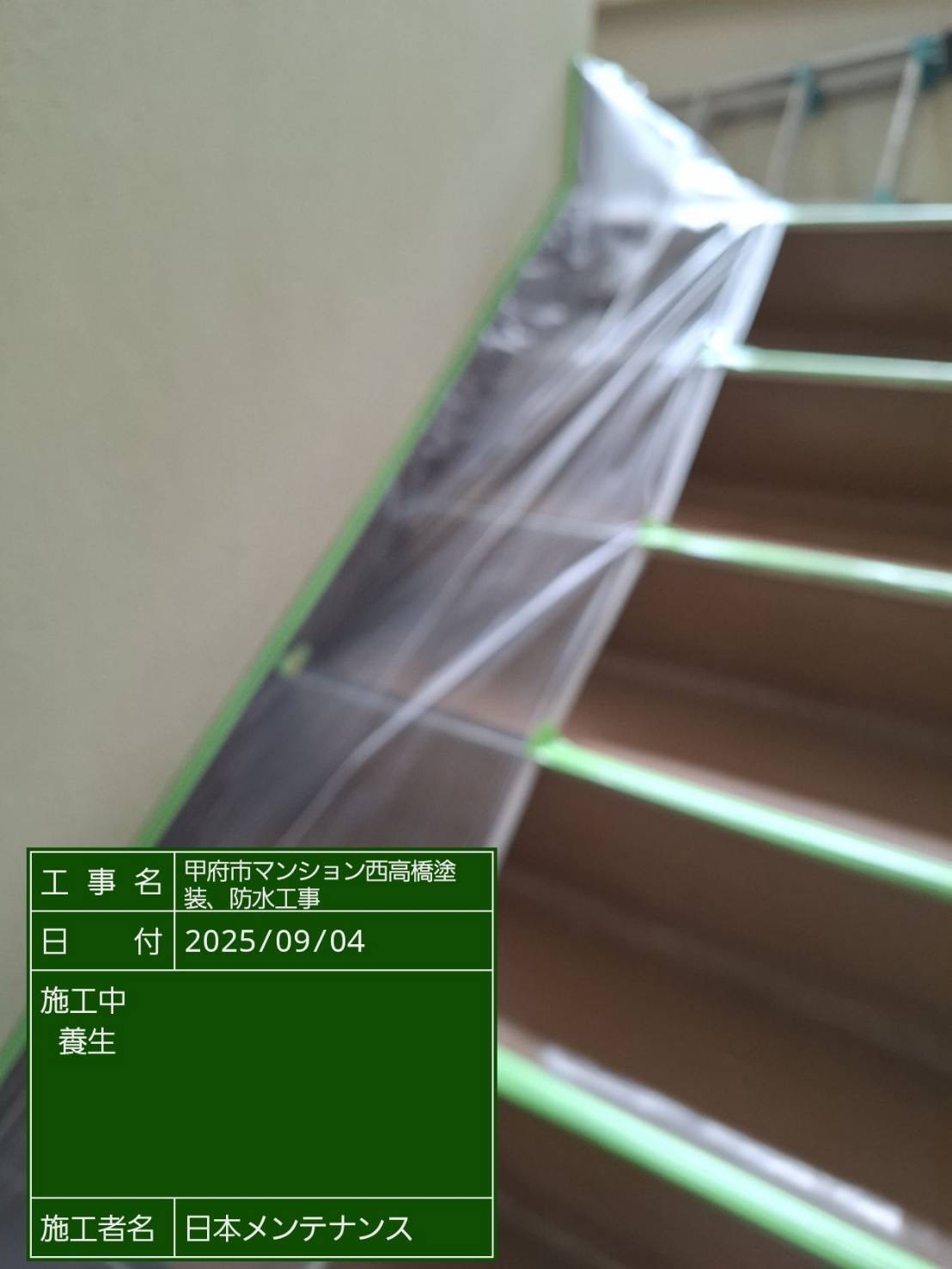 養生