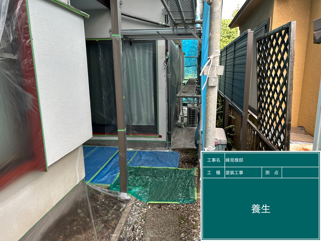 養生