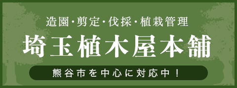 造園・剪定・伐採・植栽管理　埼玉植木屋本舗　熊谷市を中心に対応中！