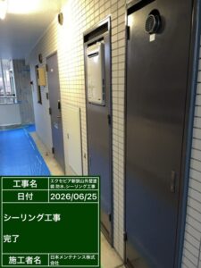 コーキング打ち替え